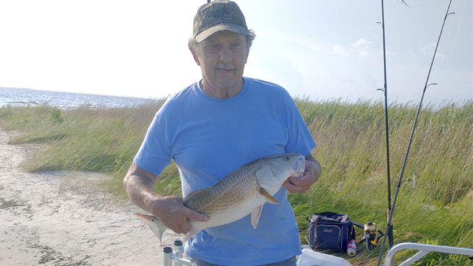fish