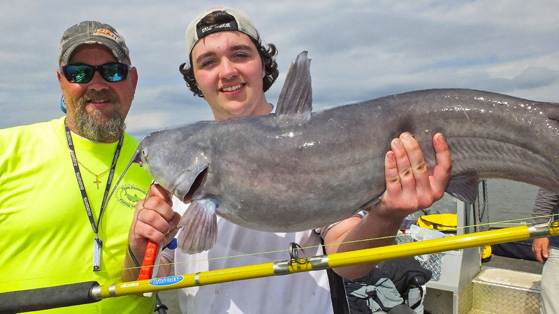 catfish