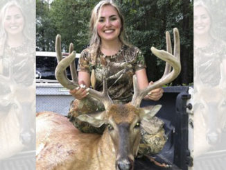 8-point buck