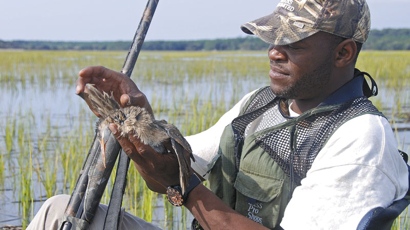 hunting from kayaks