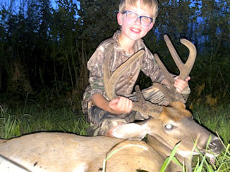 8-point buck