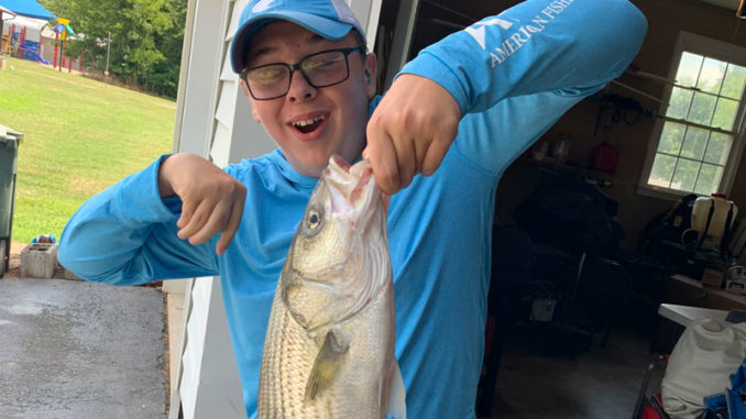 striper