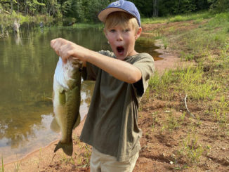 bass