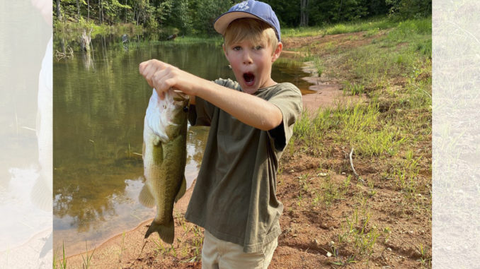bass