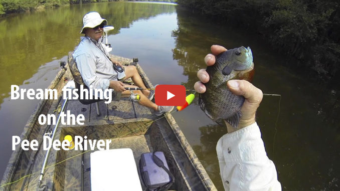 Pee Dee River