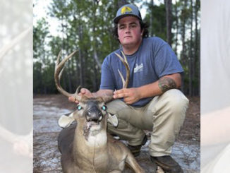 8-point buck