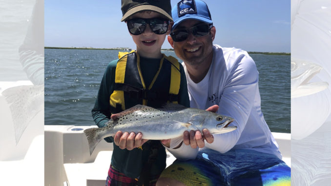 trout
