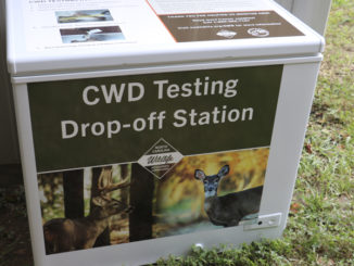 CWD