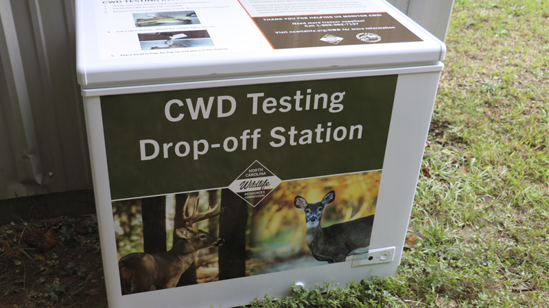 CWD