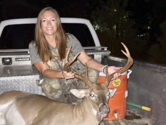 6-point buck