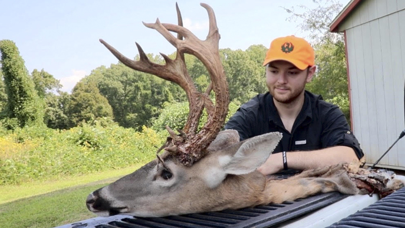12-point buck