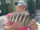 sheepshead