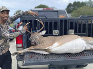 Sumter County buck