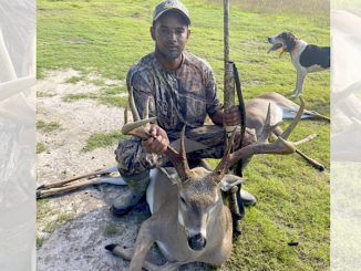10-point buck