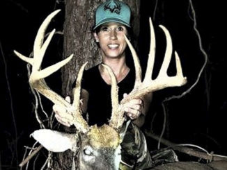 13-point buck