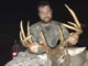 11-point buck