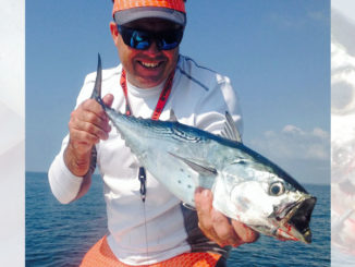 false albacore