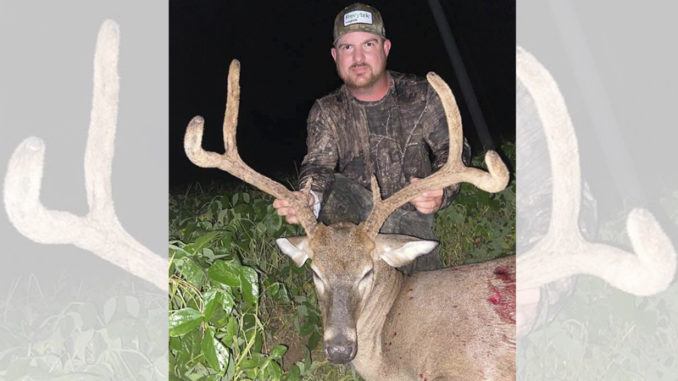6-point buck