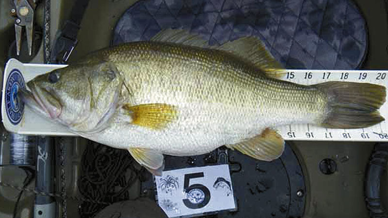 kayak fishing