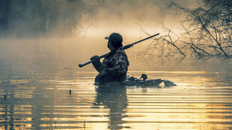 waterfowl