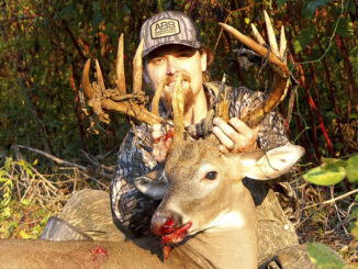 14-point buck