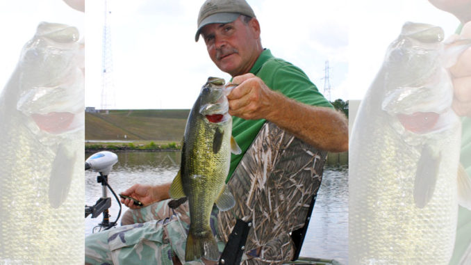 bass