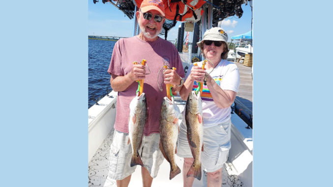 red drum