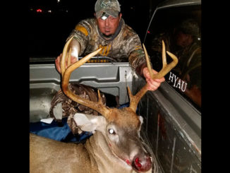 8-point buck