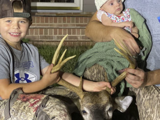 buck