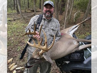 13-point buck