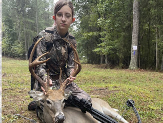 buck