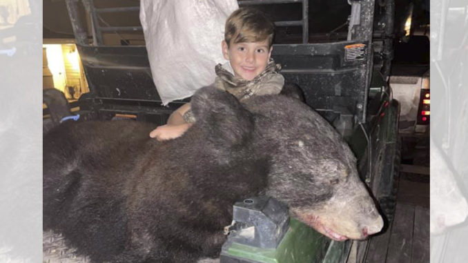bear