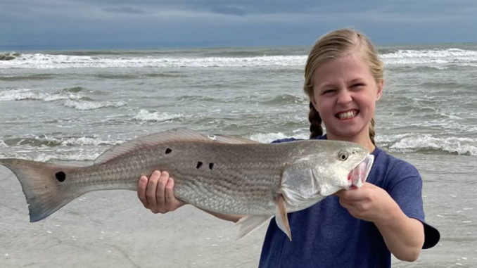 red drum