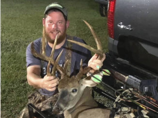 12-point buck