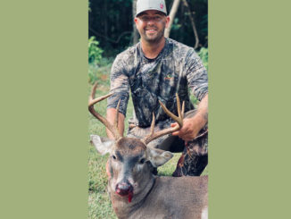 8-point buck