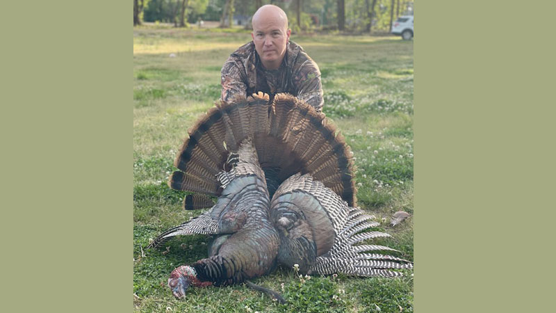 gobbler