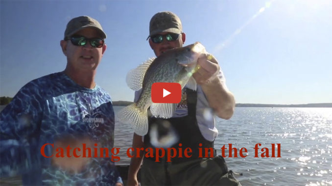 crappie