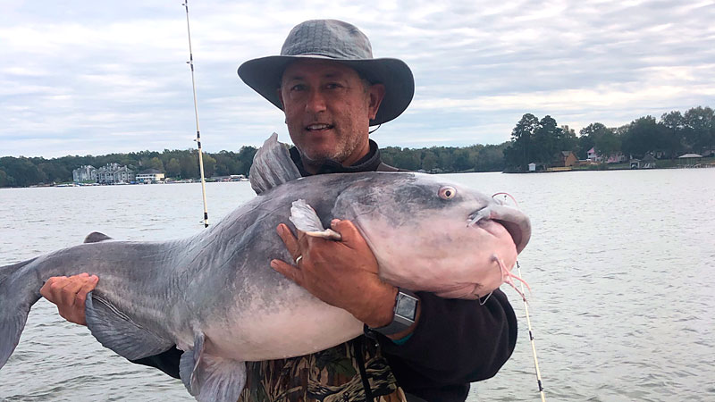 catfish