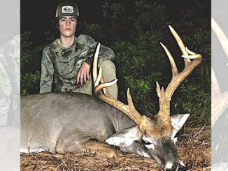 11-pointer