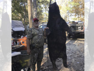 665-pound bear