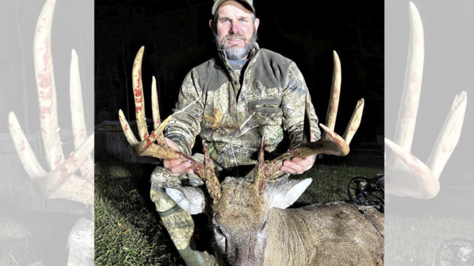 blueberry patch buck