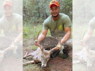 Hertford County buck