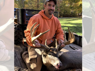 Iredell County buck