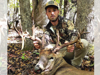 19-point buck