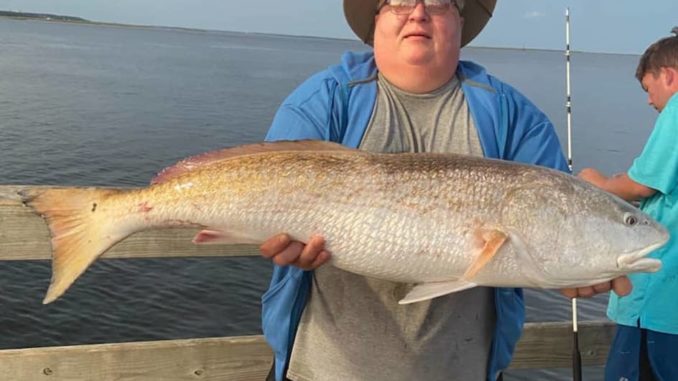 Oak Island red drum