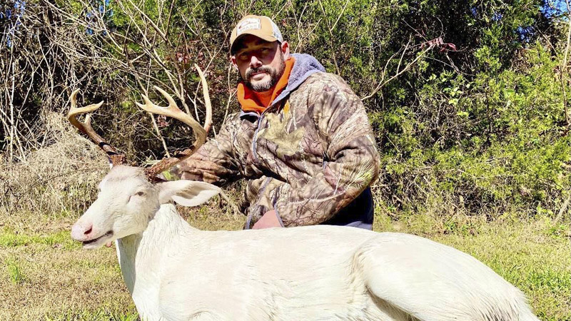white 9-point buck
