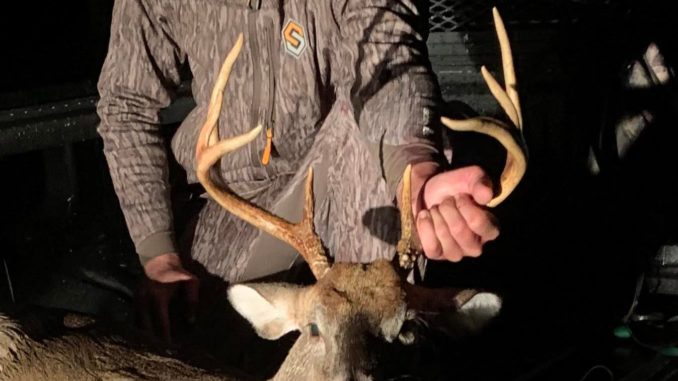 Horry County buck