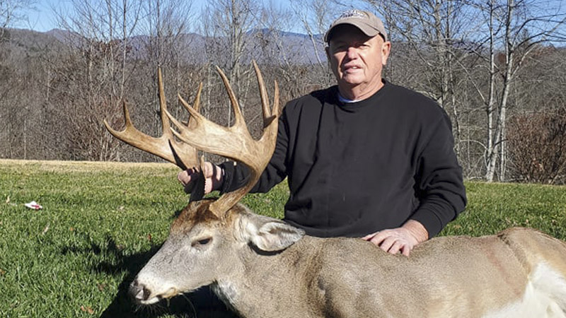 moose-like buck