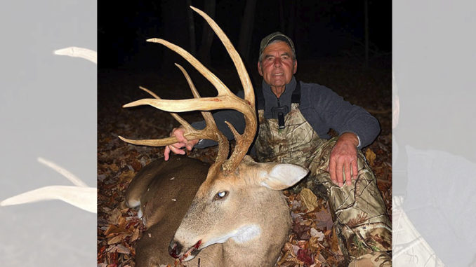 9-point