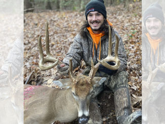 17-point buck